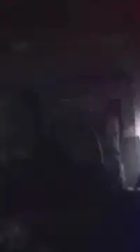 WilldoPita online show from 01/21/25, 06:22