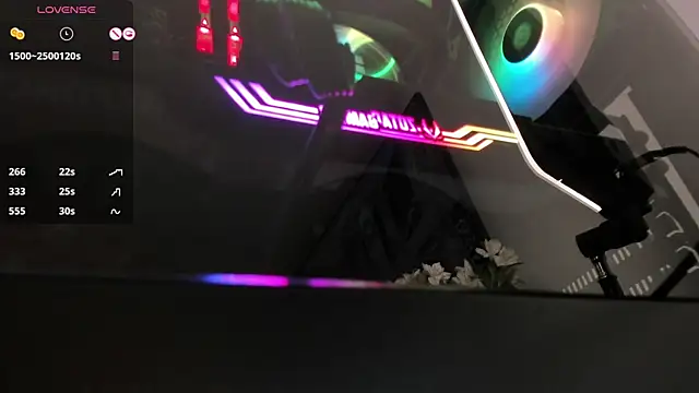 ariana fitl  online show from 12/29/24, 08:11