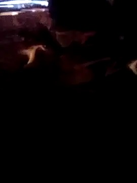 ySqmbVanbe online show from 03/02/26, 07:59