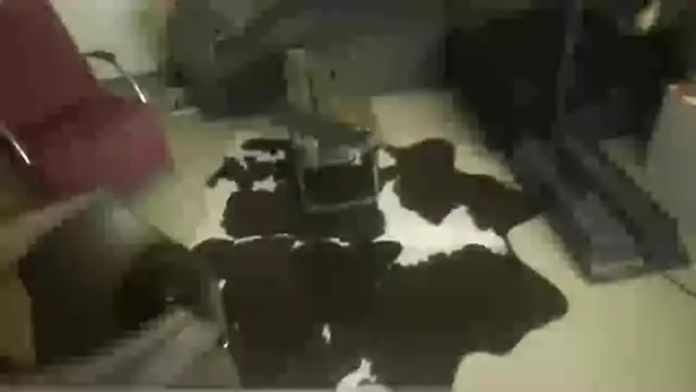 Snapshot of oopsxx chatting on 12/22/25, 01:57 oopsxx online show from 12/22/25, 01:57