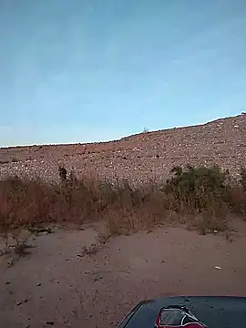 Snapshot of FloppyPickle4u chatting on 02/02/25, 02:56 FloppyPickle4u online show from 02/02/25, 02:56