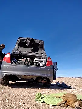 Snapshot of FloppyPickle4u chatting on 02/15/25, 09:37 FloppyPickle4u online show from 02/15/25, 09:37