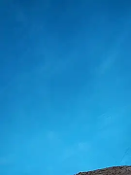 Snapshot of FloppyPickle4u chatting on 02/17/25, 01:15 FloppyPickle4u online show from 02/17/25, 01:15