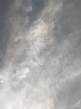 Snapshot of FloppyPickle4u chatting on 02/17/25, 11:42 FloppyPickle4u online show from 02/17/25, 11:42