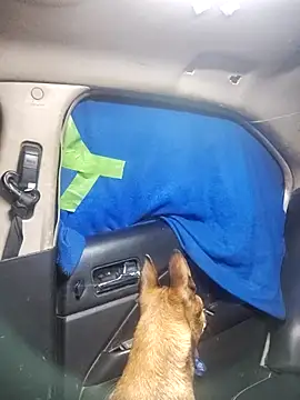 Snapshot of FloppyPickle4u chatting on 02/18/25, 05:31 FloppyPickle4u online show from 02/18/25, 05:31