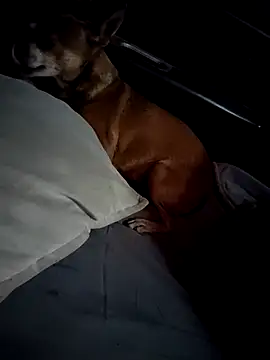 Snapshot of FloppyPickle4u chatting on 02/28/25, 04:31 FloppyPickle4u online show from 02/28/25, 04:31