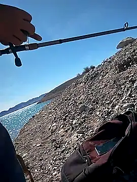 Snapshot of FloppyPickle4u chatting on 03/04/25, 07:43 FloppyPickle4u online show from 03/04/25, 07:43