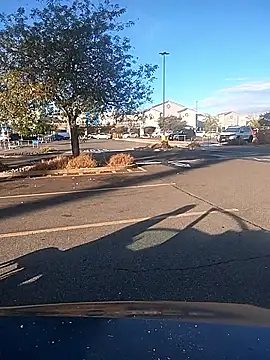 Snapshot of FloppyPickle4u chatting on 09/09/25, 03:11 FloppyPickle4u online show from 09/09/25, 03:11