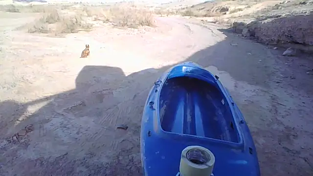 FloppyPickle4u online show from 12/20/25, 10:39