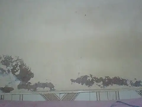 Snapshot of Naivegirrl chatting on 08/01/26, 04:17 Naivegirrl online show from 08/01/26, 04:17