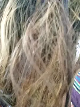 littlequeen77 online show from 03/11/25, 08:31