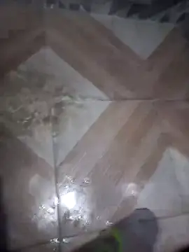 Snapshot of putosafado669 chatting on 12/22/25, 01:19 putosafado669 online show from 12/22/25, 01:19