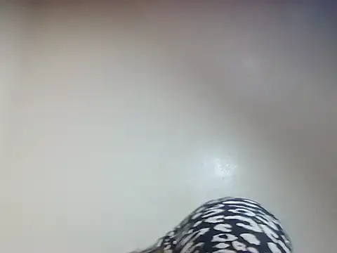 Snapshot of Creamy_candy17 chatting on 10/03/25, 01:41 Creamy candy17 online show from 10/03/25, 01:41