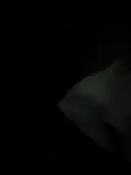 tessafontana37 online show from 01/03/25, 02:32