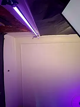 Tony Torrente online show from 03/17/26, 07:55