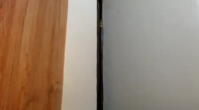 wetpussy ebony online show from 02/11/25, 06:19