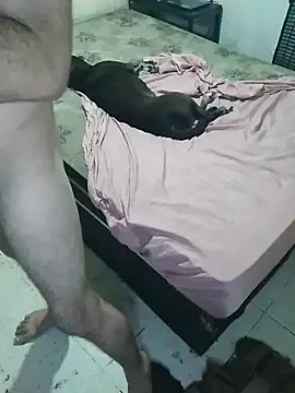 pikalindaxx online show from 02/20/26, 12:40