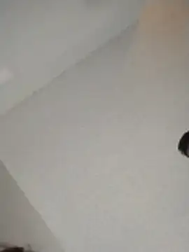 Snapshot of xWhoreAbleX_Pika chatting on 11/30/25, 03:16 xWhoreAbleX Pika online show from 11/30/25, 03:16