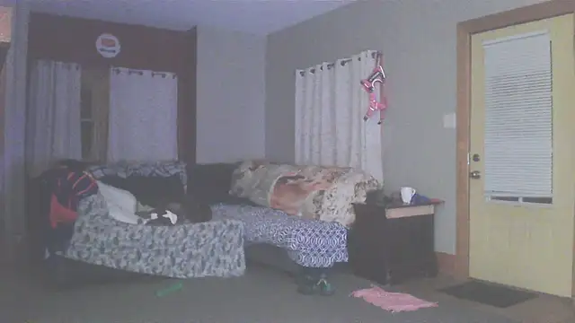 Smurfschmidt online show from 03/13/26, 03:13