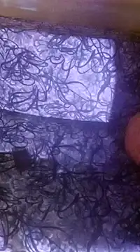 shuhana  online show from 12/16/24, 01:10