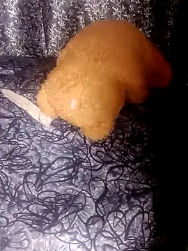 shuhana  online show from 01/21/25, 01:18