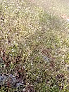 Snapshot of sexoooj chatting on 10/22/25, 10:37 sexoooj online show from 10/22/25, 10:37