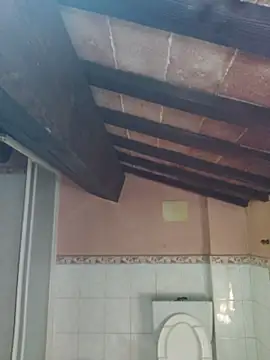 cek 186 online show from 05/17/26, 06:44