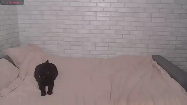 Fuckyoursecretary69 online show from 12/09/24, 12:19