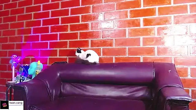 Snapshot of Trix_fiore_oficial chatting on 03/22/26, 10:46 Trix fiore oficial online show from 03/22/26, 10:46