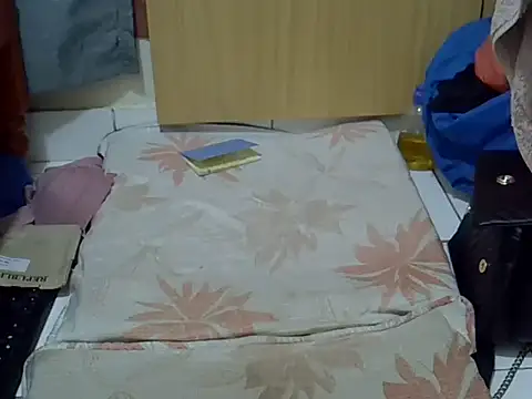 Snapshot of prettyviel chatting on 10/27/25, 07:23 prettyviel online show from 10/27/25, 07:23