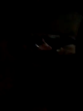 Hedygostozin online show from 03/14/26, 10:32