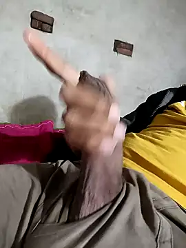 Pussy lover 33 online show from 01/12/25, 03:03