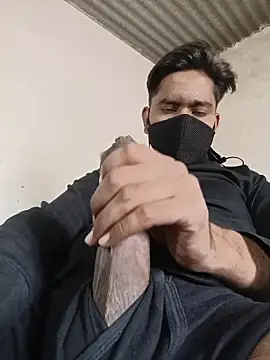 Pussy lover 33 online show from 03/03/26, 07:25