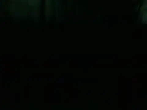 markluvskitty online show from 12/21/24, 04:52