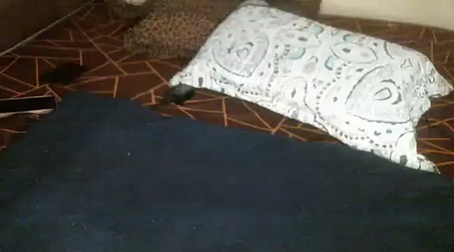 Sweetie pussy online show from 03/18/25, 01:09