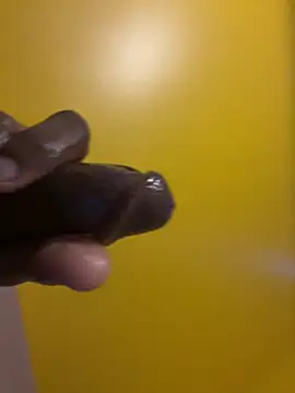 Snapshot of brosky-sx chatting on 03/31/26, 03:34 brosky-sx online show from 03/31/26, 03:34