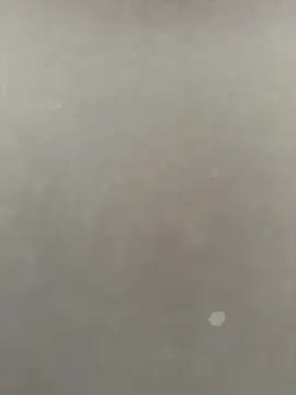 Syka0001 online show from 02/14/26, 10:23