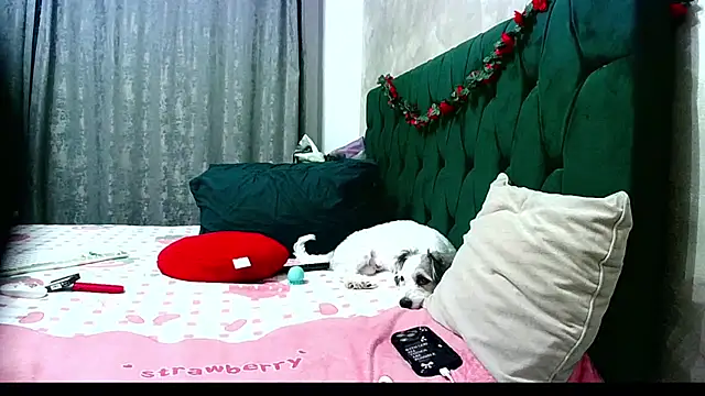 MikySWeet7 online show from 06/26/26, 05:06