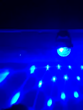 AmazonianMistress online show from 02/16/25, 03:59