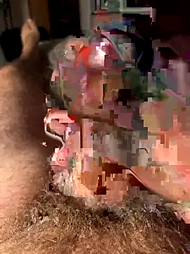 francoers online show from 10/16/25, 11:17