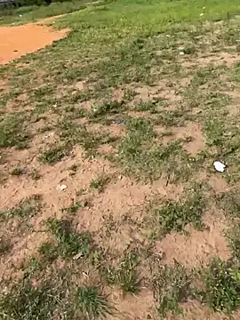 Black-mamba-madingo online show from 02/14/26, 08:55