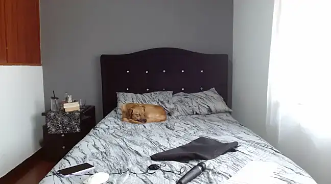 Emilia 1995 online show from 02/10/25, 12:50