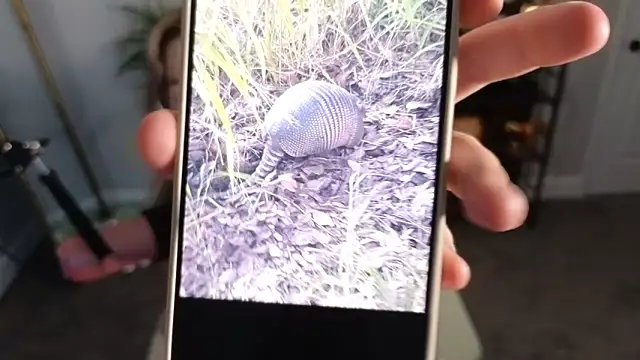 rodeobrii online show from 11/17/25, 03:34