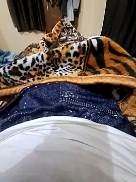 villagb12 online show from 12/25/24, 07:24