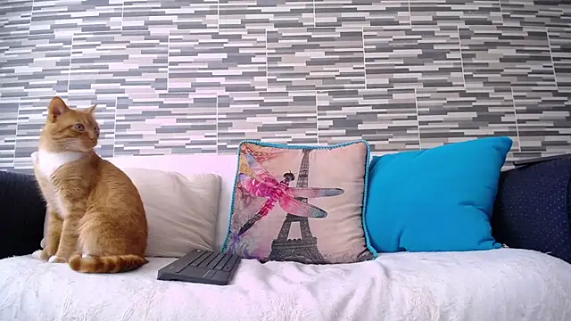 VioletaGomezCo online show from 11/05/25, 04:29