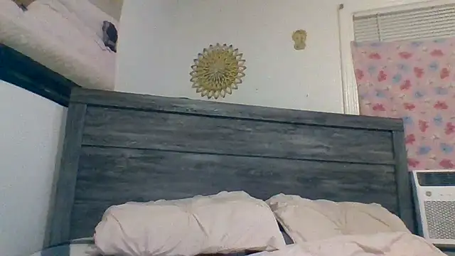 Snapshot of Houstonslong1 chatting on 01/23/25, 04:30 Houstonslong1 online show from 01/23/25, 04:30