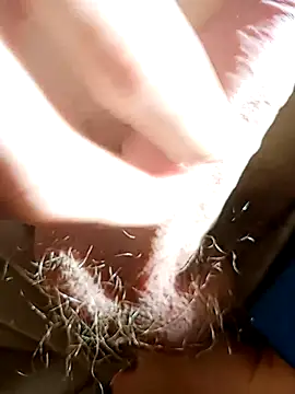 Snapshot of NudeYogaBoy chatting on 01/07/25, 12:31 NudeYogaBoy online show from 01/07/25, 12:31