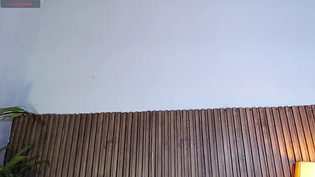 DilanJonnes  online show from 01/12/26, 11:43