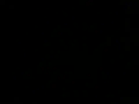 ArtemMR online show from 12/13/24, 10:34