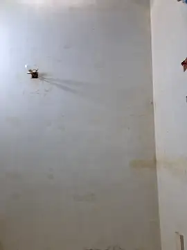 Derry Cooper online show from 02/08/26, 06:55